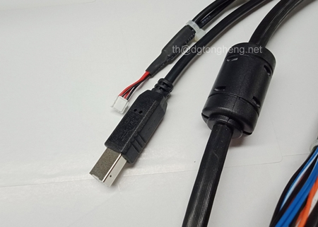 Ferrite Molded Cable Assembly